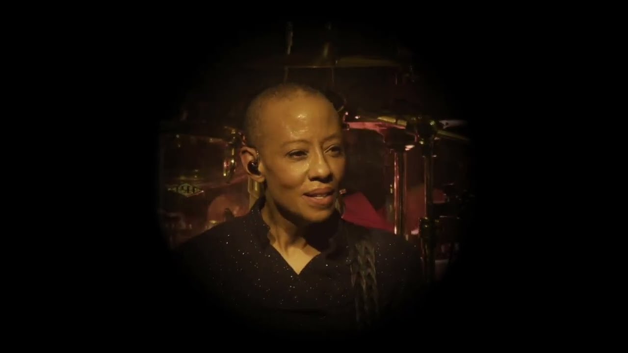  TOI  M  en duo avec Gail Ann Dorsey Live Znith dOrleans   Reprise de Joe Dassin