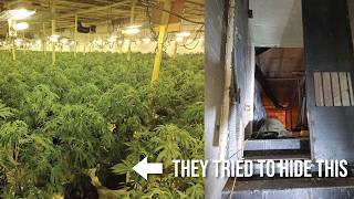 Police find HUGE £5M cannabis farm in ABANDONED building | Hide & Seek Gone Wrong