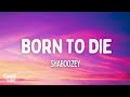 Shaboozey Born To Die Lyrics 