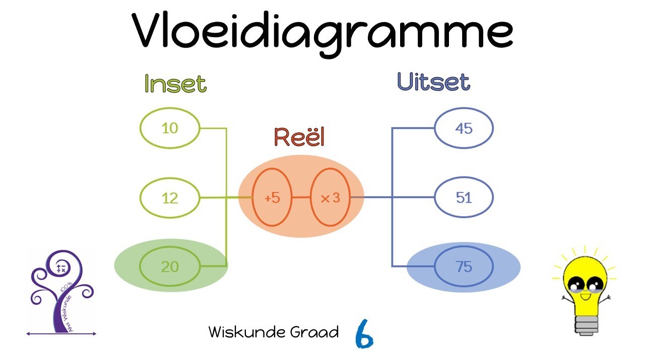 Wiskunde Graad 6 Vloeidiagramme