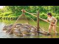 How To Pump Water From A Swamp To Catch Fish - Harvesting A Large School Of Carp | Lucia Fishing