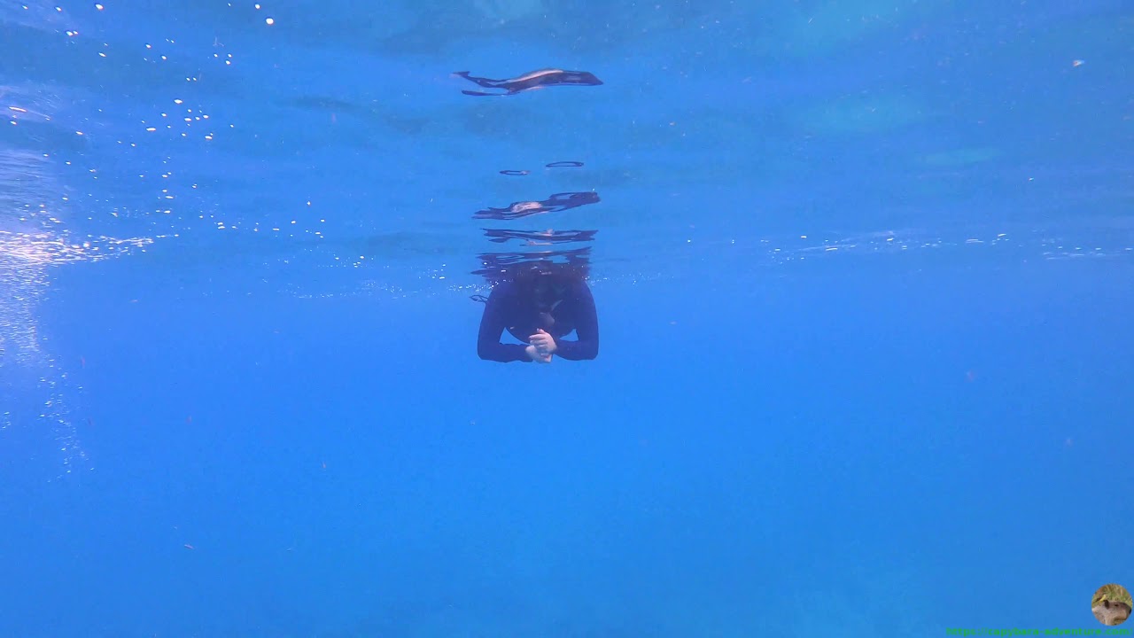 Bahamas Exuma Snorkeling Deeper Water Low Vis Jan 2020 4K