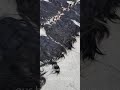 virgin quality hair extensions