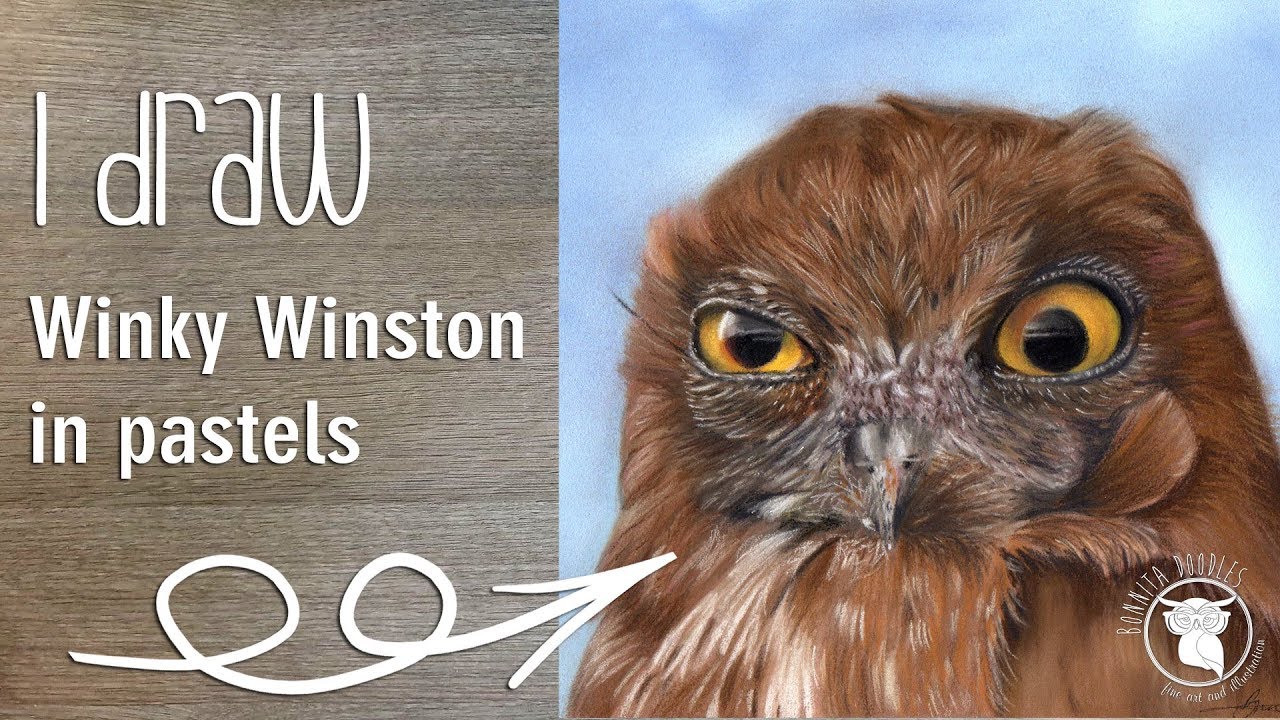 faber castell consultancy Winky Winston! Pastel Pencil Owl drawing