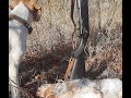 Трудовое Открытие сезона охоты на Зайца 2020-2021г. Labor opening of the hare hunting season 20-21г.