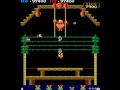 【アーケード】　ドンキーコング３（DONKEY KONG 3）