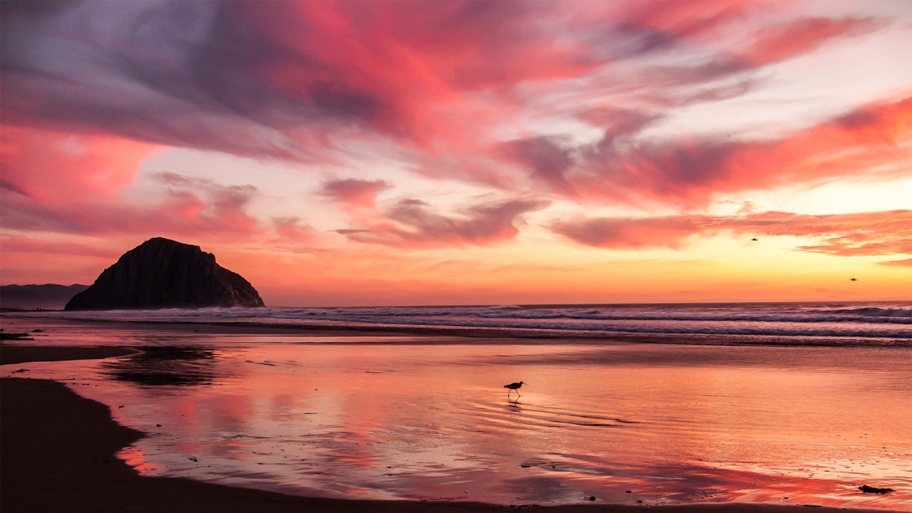 🎺🎸 💃 The Last Light Waltz | A Slow Romantic Trumpet & Flamenco Guitar Manifesto 🎬