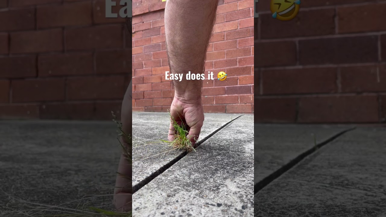 Weed Pulling Don’t Rush 