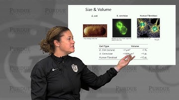 nanoHUB-U Biodesign L1.1: Introduction - Cells by the Numbers