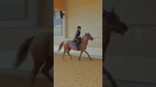 Poor Lexi She Loved Fifi She Must Miss Her Fan Made Me Think Of You