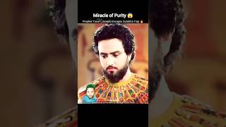 Download Lagu Miracle of Purity 😱Yusuf (Joseph) Escapes Zulaikha Trap👑🔥 #shorts #yusuf #joseph #miracle #zulaikha MP3