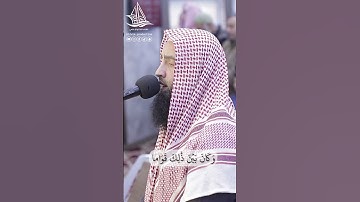 تلاوة خاشعة وهادئة الشيخ محمد عرفات الباز