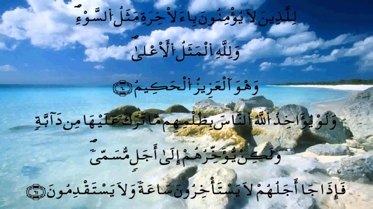 سورة النحل * الدوكالي * قالون