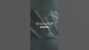 آيات بينات من القرآن الكريم 🌷 بصوت جميل طارق محمد حالات واتس اب دينية قصيرة تلاوة خاشعة Quran status