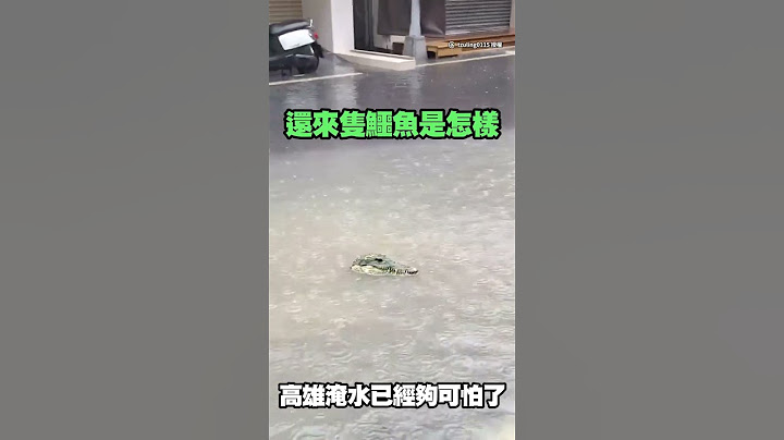 #山陀兒颱風 見奇景「鱷魚漂水面」？真相神展開 #Shorts