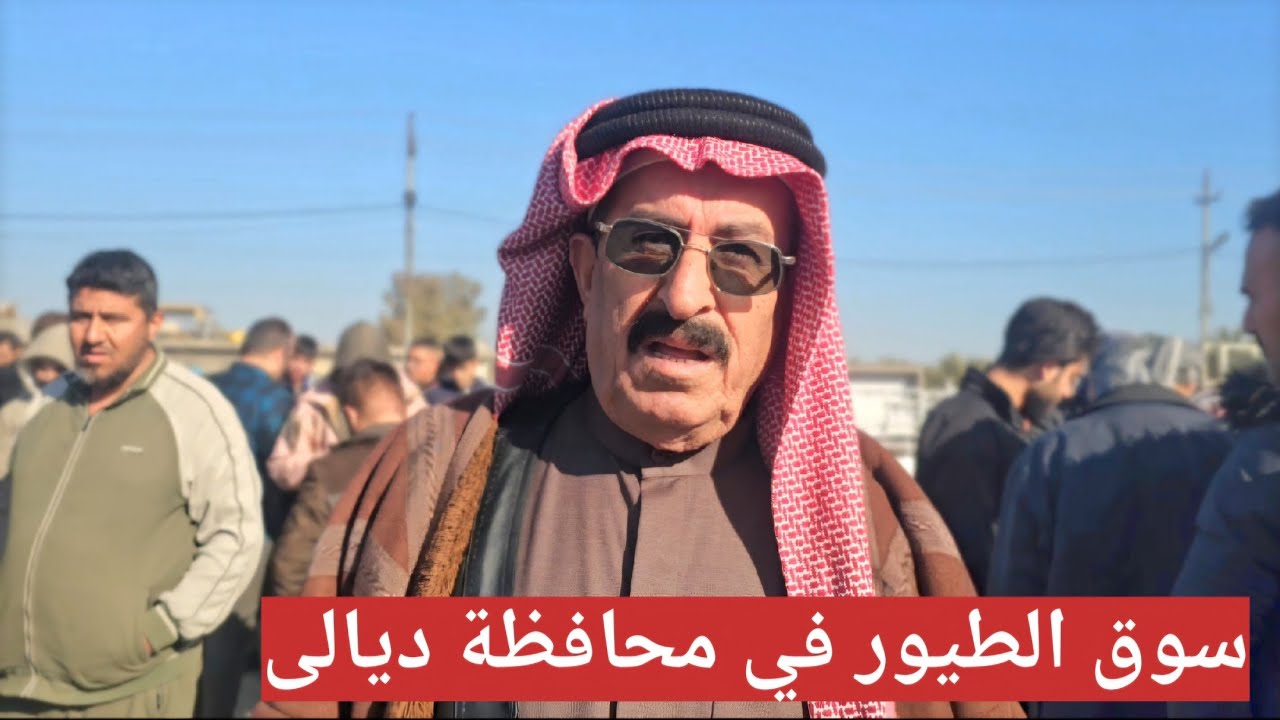 #سوق_الغزل بعقوبة سوق الطيور و الحيوانات الاخرى