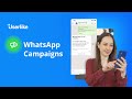 Whatsapp campaigns  your whatsapp newsletter tool