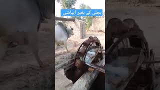 بجلی کے بنا پانی نکل رھا ھے۔desilifestyle  chardapunjab village tubewell