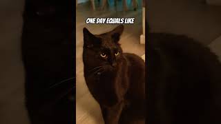 How Long Would You Keep Me