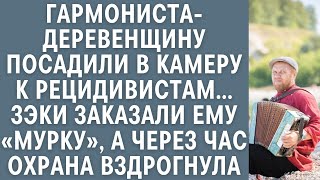 видео: Гармониста-деревенщину кинули в камеру к рецидивистам… Ему заказали Мурку, а через час охрана ахнула картинка: Гармониста-деревенщину кинули в камеру к рецидивистам… Ему заказали Мурку, а через час охрана ахнула
