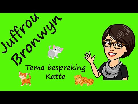 Video: Wat is hartwurm by katte?