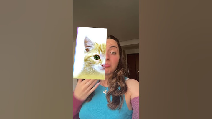 Dani e Robbi scoprono che animale sono nella vita reale con il nuovo filtro di Tik Tok! #shorts