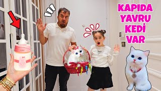 ELİF KAPIMIZA TERKEDİLMİŞ YAVRU KEDİ BIRAKMIŞLAR!! ADI NE? بابا جاب لي بالون - جنى مقداد | طيور بيبي