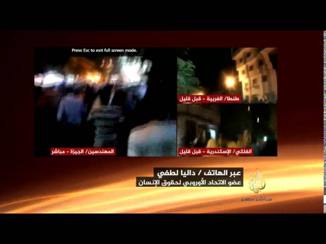داليا لطفي  : لابد من التدخل الفوري لفتح تحقيق دولي في مصر