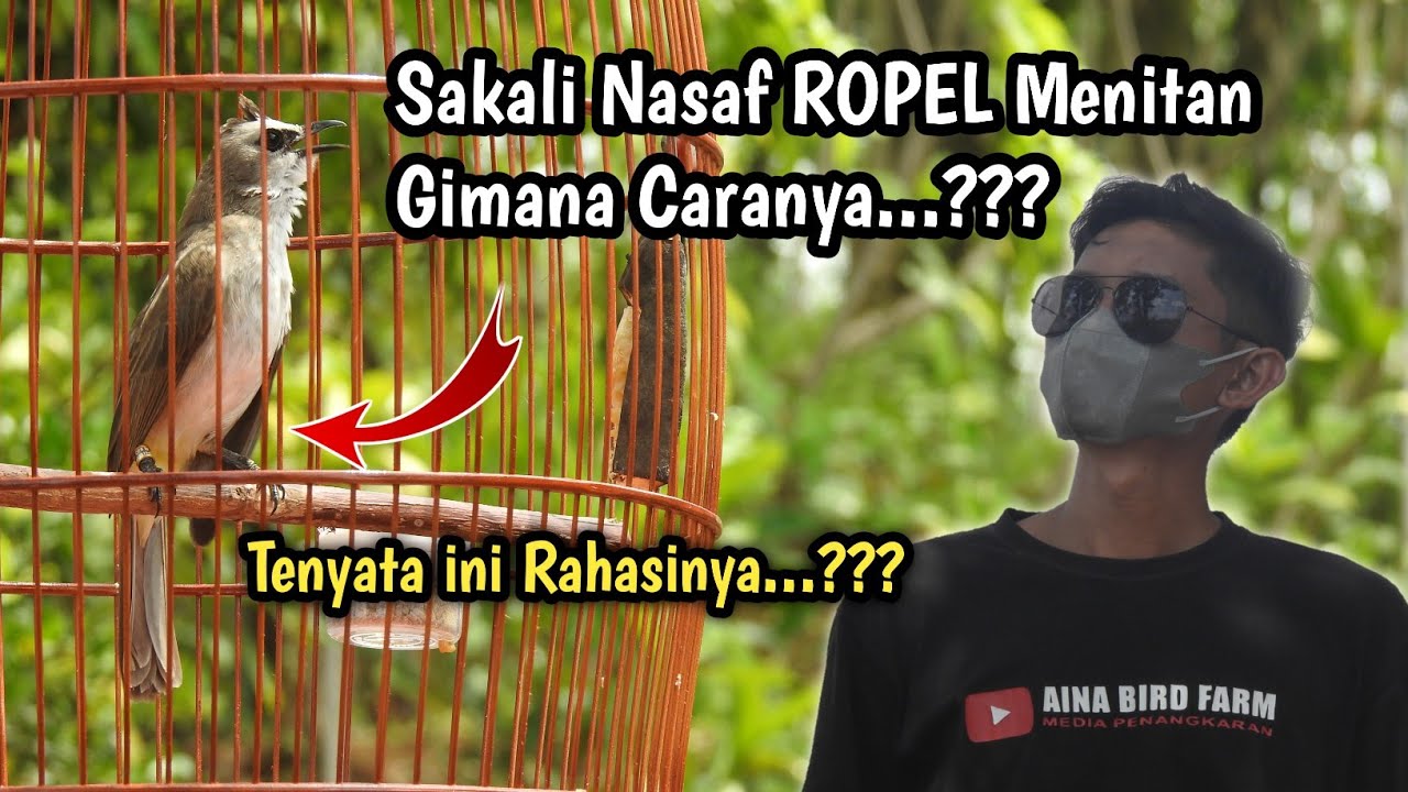 Supaya TRUCUK ROPEL Panjang||Lihat trik ini baik-baik‼️