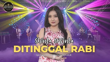 SHINTA ARSINTA - DITINGGAL RABI (OFFICIAL LIVE MUSIC)