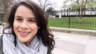 Coffee Shops in Washington D C - Coffee Meets Tea Vlogs