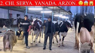 : 2. Chi. S. %.1. ARZONCHI. AKA.KOTTA SUTLI. K.narxlada.OXIRIDA. YOMON JAXLI CH. 