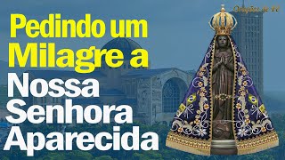 Pedindo um Milagre a Nossa Senhora Aparecida