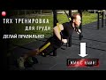 TRX Тренировка груди и упражнения на грудные мышцы