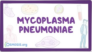 Mycoplasma pneumoniae - an Osmosis Preview