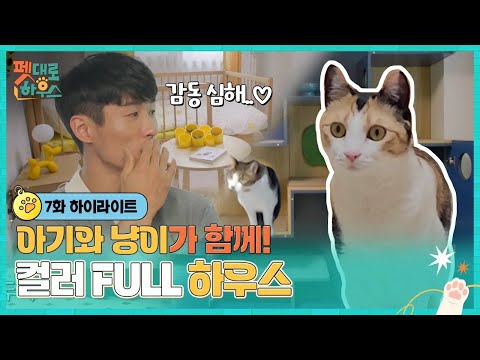 바로 <strong>여기입니다</strong>,,, 천국이 따로 없는 컬러풀 하우스🏠| 7회 하이라이트
