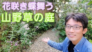 【山野草の庭】秋の花咲き、蝶の舞うステキな空間になりました