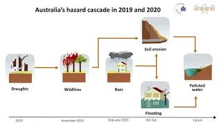 Cascading effects of wildfires Profile