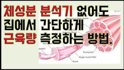 혈관질환-근감소증-근육량-체성분 분석기 없이 간단하게 집에서 근육량 측정하는 방법