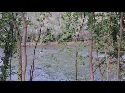 سمير جركس يا قلبي ليه