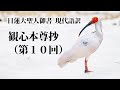観心本尊抄（第１０回）｜現代語訳｜日蓮大聖人御書