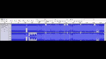 RTHDCPL.EXE Interpreted as audio data (PCM interpretation audacity)