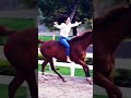 فرس فرس الخيل من خيالها