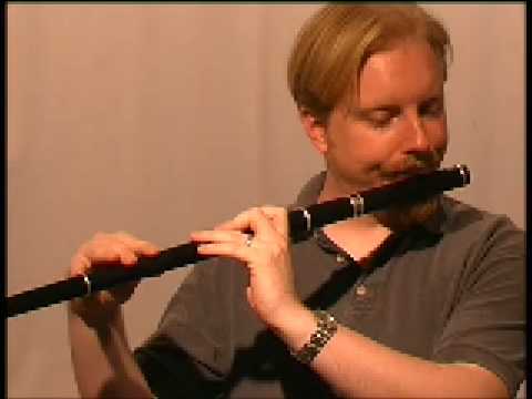 Irish Flute Lessons : Beginner : Mary Had a Little...