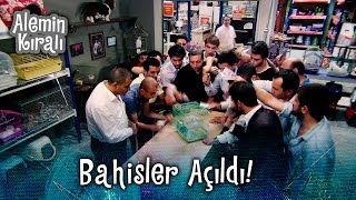 Aslan'ın dükkanda kuş dövüşü! - Alemin Kıralı 42. Bölüm