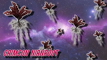 Skyrim All Crimson Nirnroot Location Guide!
