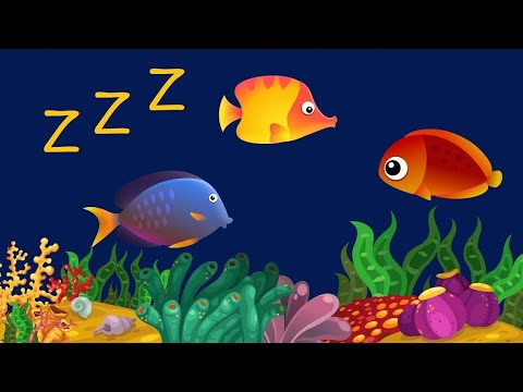 Video: Spavaju Li Zlatne Ribice?