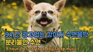 편안한 강아지 수면유도음악_강아지가 좋아하는 음악/ Comfortable dog sleep-inducing music_Music that dogs like