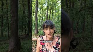 Luna's Wisdom 🌜 #barfuß #nature #selbstliebe #spruch #natur #liebe #wald
