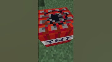 Making Ugly Transitions In Minecraft Till I Hit 10k #3